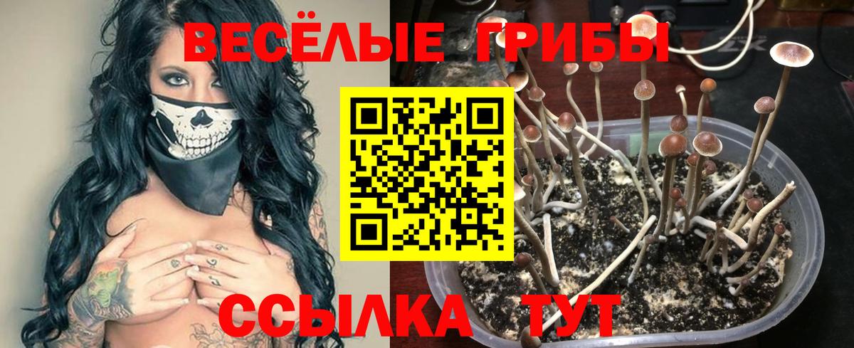 Псилоцибиновые грибы прущие грибы Троицк