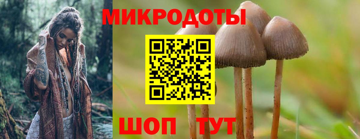 Троицк  Псилоцибиновые грибы ЛСД  Вход с VPN 